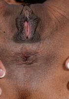 ATK Exotics: Kira Noir (Kira Noir flaunting her body on the couch)