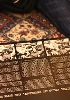 ATK Archives: Kitten (Kitten in)