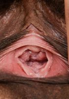 Kitty Catherine from ATK Natural & Hairy