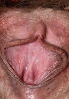 ATK Natural & Hairy: Kitten Coyote (Kitten Coyote in mature and hairy)