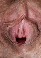 ATK Natural & Hairy: Kitten Coyote (Kitten Coyote in mature and hairy)