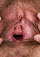 ATK Natural & Hairy: Kitten Coyote (Kitten Coyote in mature and hairy)