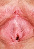 ATK Galleria: Kitty Cam (Kitty Cam in Lingerie & Heels)