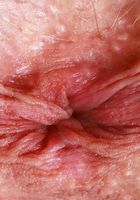 ATK Petites: Kitty Cam (Kitty Cam Spreads her Ass)