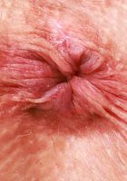 ATK Galleria: Kitty Cam (Kitty Cam Sexy Strip and Spreading)