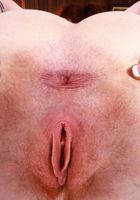 ATK Natural & Hairy: Kitty Strange (Kitty Strange and her other hairy kitty)