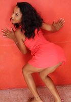 ATK Exotics: Krista (Krista blanks your mind with her sweet smiles.)