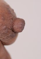 ATK Exotics: Krystal (Krystal in upskirts and panties)