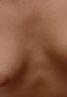 ATK Archives: Lacey (Lacey in)