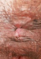 ATK Exotics: Lacey London (Lacey London Gaping over a towel)