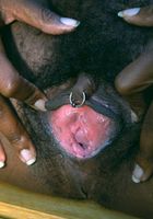 ATK Exotics: Latrese (Latrese in nudism)