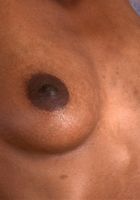 Latrese from ATK Exotics