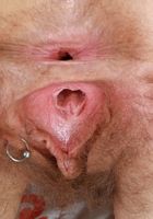 ATK Natural & Hairy: Lauren Laurent (Lauren Laurent in hairy fun)