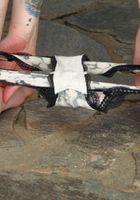 ATK Natural & Hairy: Lauren Laurent (Lauren Laurent in scary hairy)