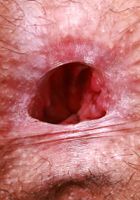 ATK Galleria: Laynee James (Laynee James is a gorgeous hottie)