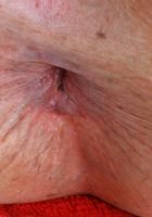 Leda Lotharia from ATK Galleria