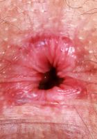 ATK Natural & Hairy: Lenna (Curvy hairy Lenna shows it all.)