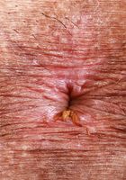 ATK Petites: Leila Mills (It's a tiny bikini on Leila Mills)