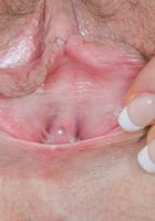 ATK Archives: Lenka (Lenka in)