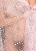 ATK Archives: Lenka (Lenka shows off her nice hairy pussy in a mirror)