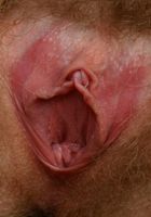 ATK Archives: Leona Rox (Horny babe Leona Rox gets naked and spreads her hairy pussy)