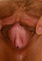 ATK Exotics: Lexine (Lexine in asians)