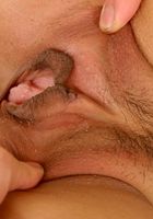 ATK Exotics: Lexine (Lexine in asians)