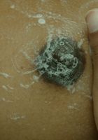 ATK Exotics: Lexi (Lexi in dime pieces)