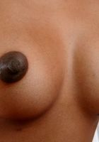 ATK Exotics: Lexi (Lexi in dime pieces)