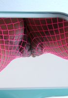 ATK Exotics: Lilly (Lilly in asians)