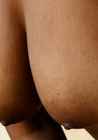 Lilly from ATK Exotics