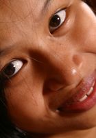 ATK Exotics: Lily (Lily in asians)