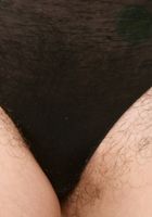 ATK Archives: Lily (Lily is fine and hairy)