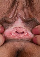 ATK Petites: Lilly Evans (Lilly Evans in latinas)