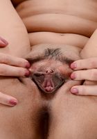 Lilly Evans in latinas, Lilly Evans (lil051) ATK Exotics: Lilly Evans (Lilly Evans in latinas)