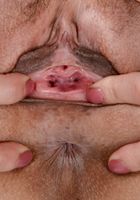 ATK Exotics: Lilly Evans (Lilly Evans in latinas)