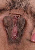 ATK Exotics: Lilly Evans (Lilly Evans in latinas)