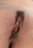 ATK Exotics: Lilly Evans (Lilly Evans in latinas)