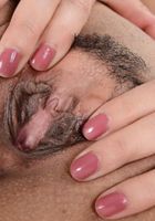 ATK Exotics: Lilly Evans (Lilly Evans in latinas)