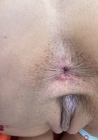 ATK Galleria: Lily Adams (Lily Adams Spreads during a Date with you)