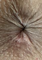 ATK Galleria: Lily Adams (Lily Adams Knee-High Socks and Spreads)