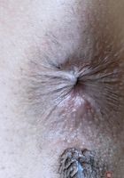 ATK Galleria: Lily Adams (Lily Adams Virtual Vacation and Spreads)