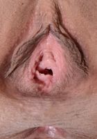 ATK Exotics: Lilly Hall (Lilly Hall in latinas)