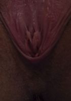 Lily Glee from ATK Petites