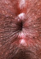 ATK Exotics: Lily Starfire (Lily Starfire is lighting it up)