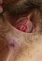 ATK Exotics: Lin (Lin in asians)