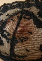 ATK Exotics: Lin (Lin in latinas)