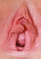 ATK Galleria: Lindsay Lee (Lindsay Lee Sexy Strip)