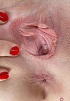 Lindsay Lee from ATK Galleria