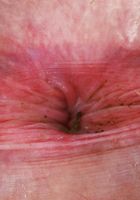 ATK Galleria: Lindsay Lee (Lindsay Lee Outdoor Strip)